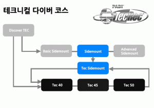 TecRec chart