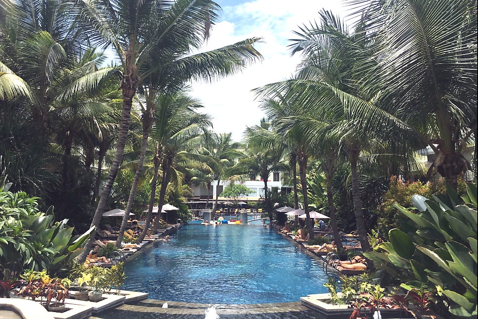 A calm tropical resort pool framed by palm trees on an NB Divers dive trip