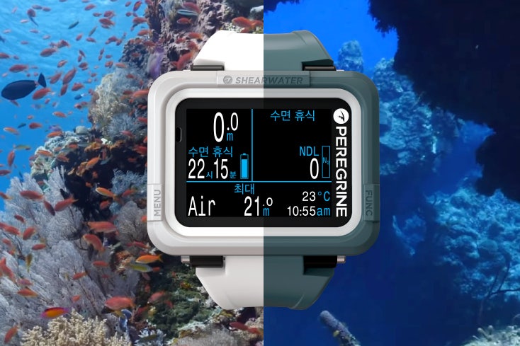Dive computer displaying depth and no-decompression time underwater