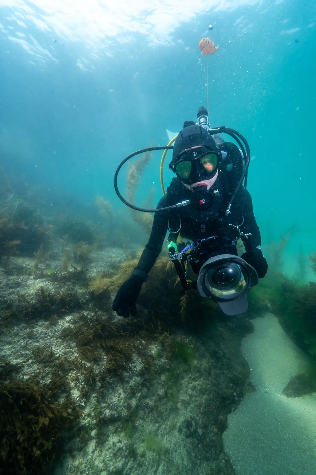 Diver with an underwater camera in the clear, sunlit water of Korea's East Sea showing good visibility