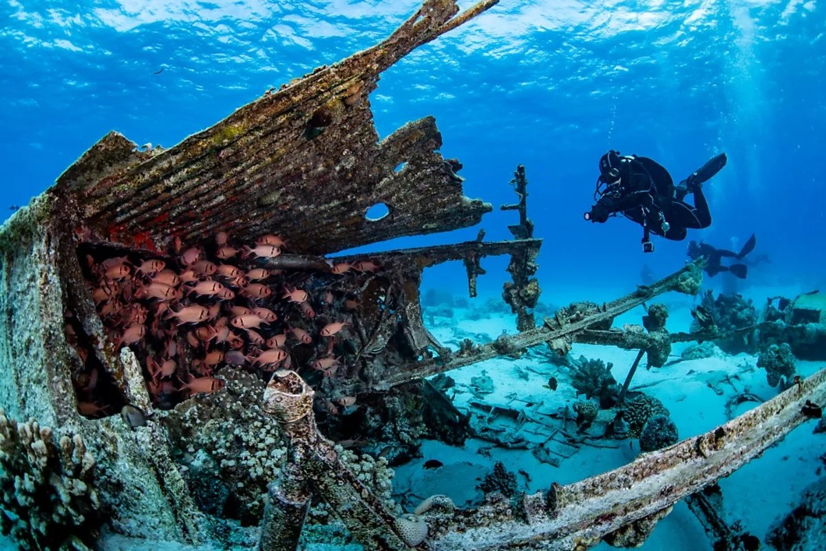 Divers exploring a coral-encrusted shipwreck, the kind of dive a refreshed diver can confidently rejoin after PADI ReActivate